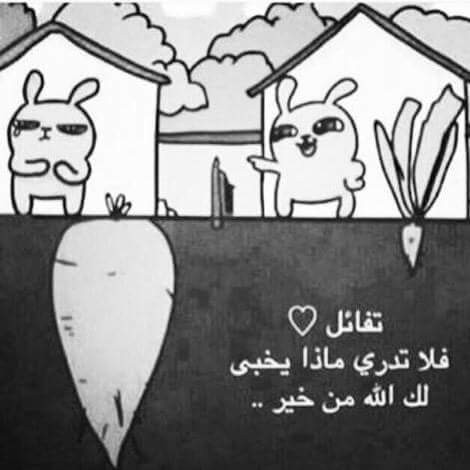 FB_IMG_1485073733241