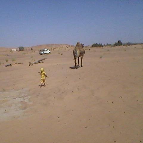 12524135_977173332362466_2170359116208836091_n