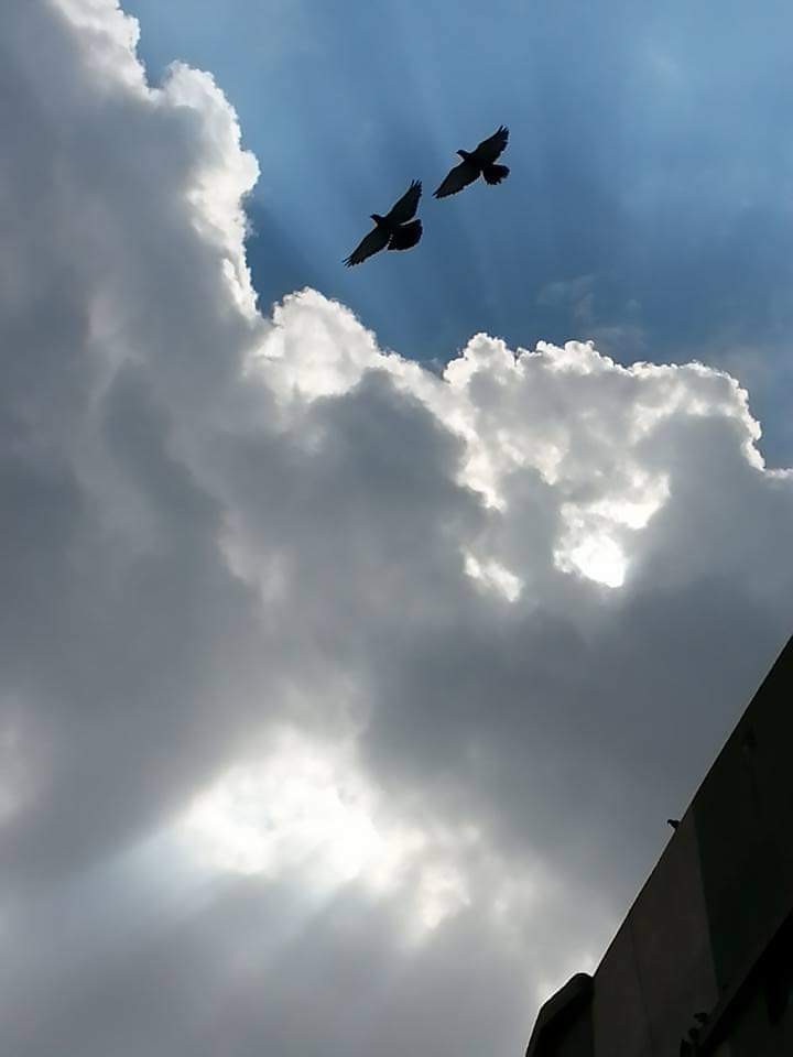 FB_IMG_1629865204052