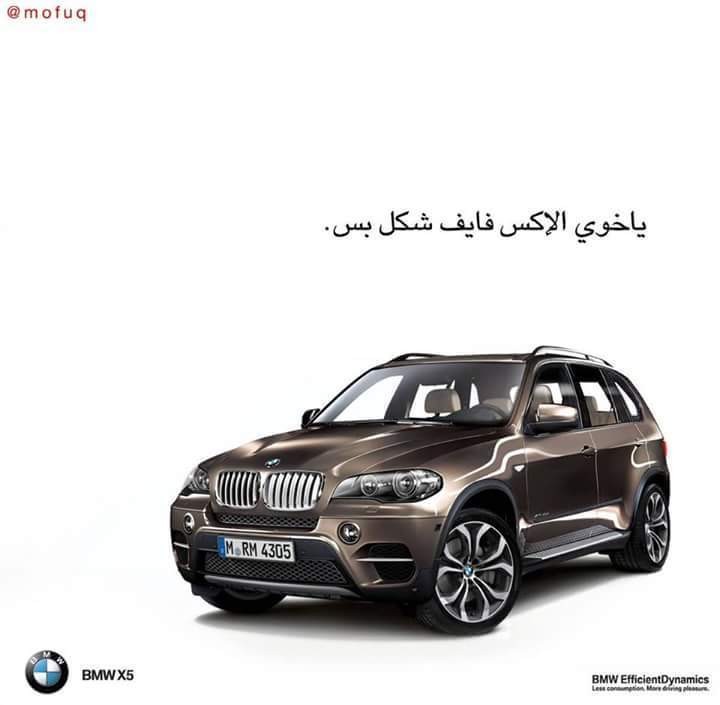 14117853_1228830620482951_4768629391527597684_n