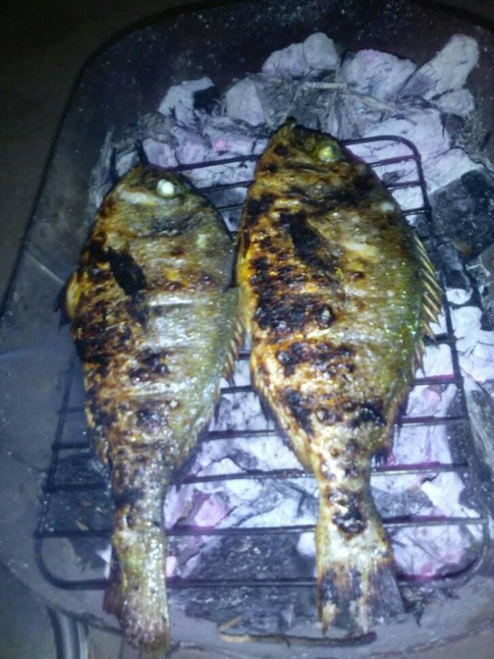 16425929_10210638293265088_8405819170283984597_n