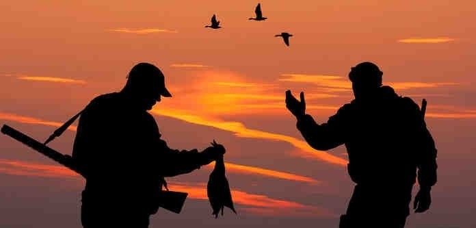 صيد-الطيور-البرية