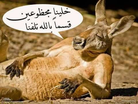 OBWA-٢٠١٨٠٢٠٧٢٣٢٠٥٥