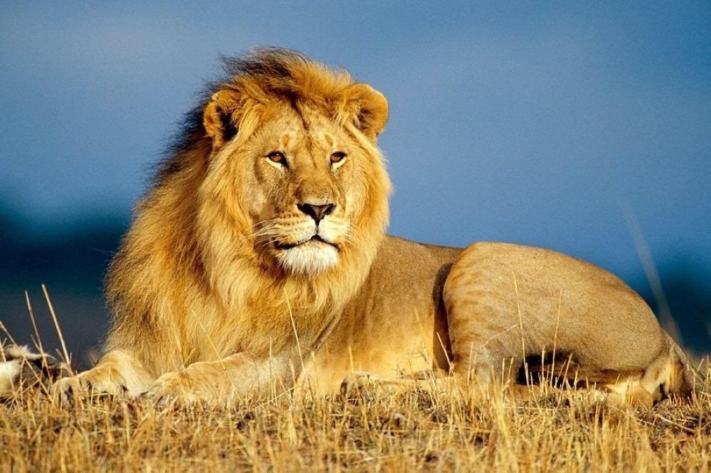 95E2D376-580F-4803-BEF2-93801B314CF4