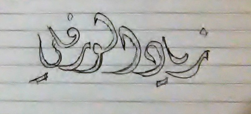 WP_20180226_08_10_55_Pro__3_