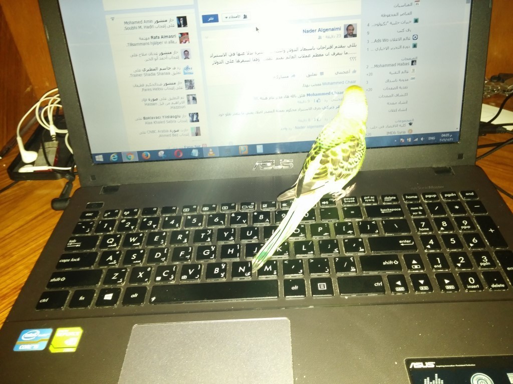 20160121_160755__Medium_