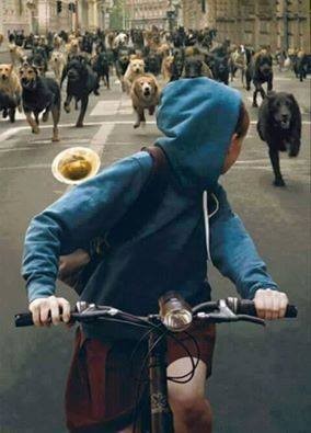 12644866_1221619287883508_6450652343938407226_n