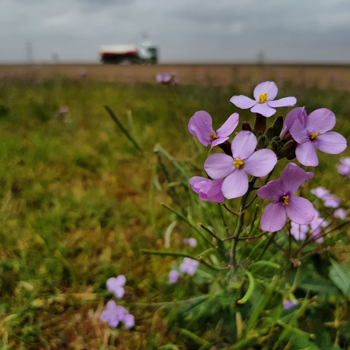 IMG_20190215_172451_447