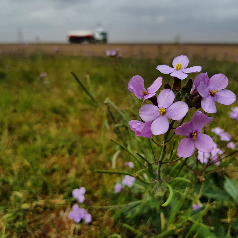 IMG_20190215_172451_447