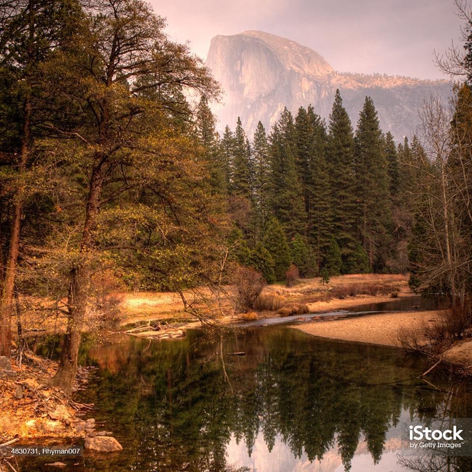 12687858_10153277830445825_6668329595552955719_n