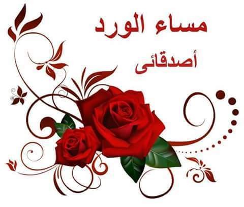 14102635_351737345214227_6616769156387594072_n