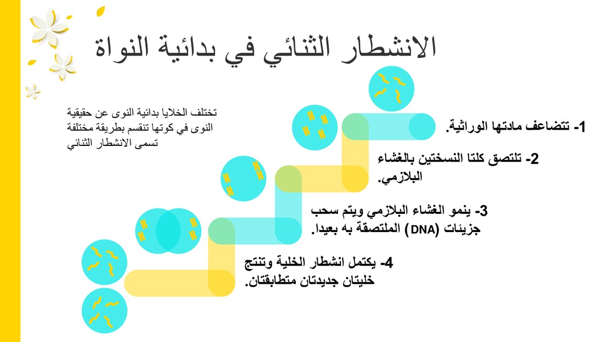 2c35ee775c1be0f5abbaa40beb9a6ef6-14