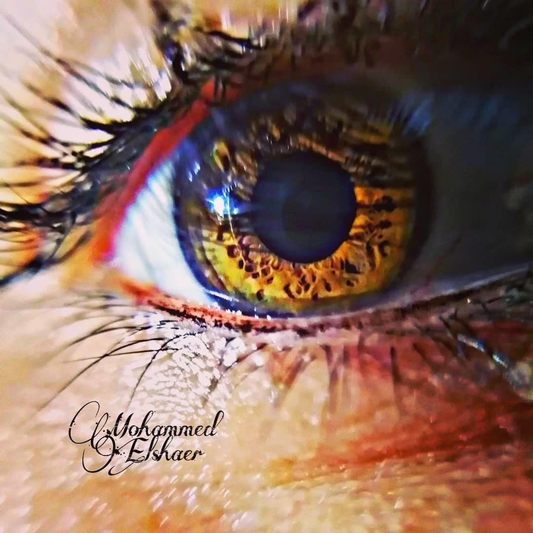 IMG_20190831_183550_747