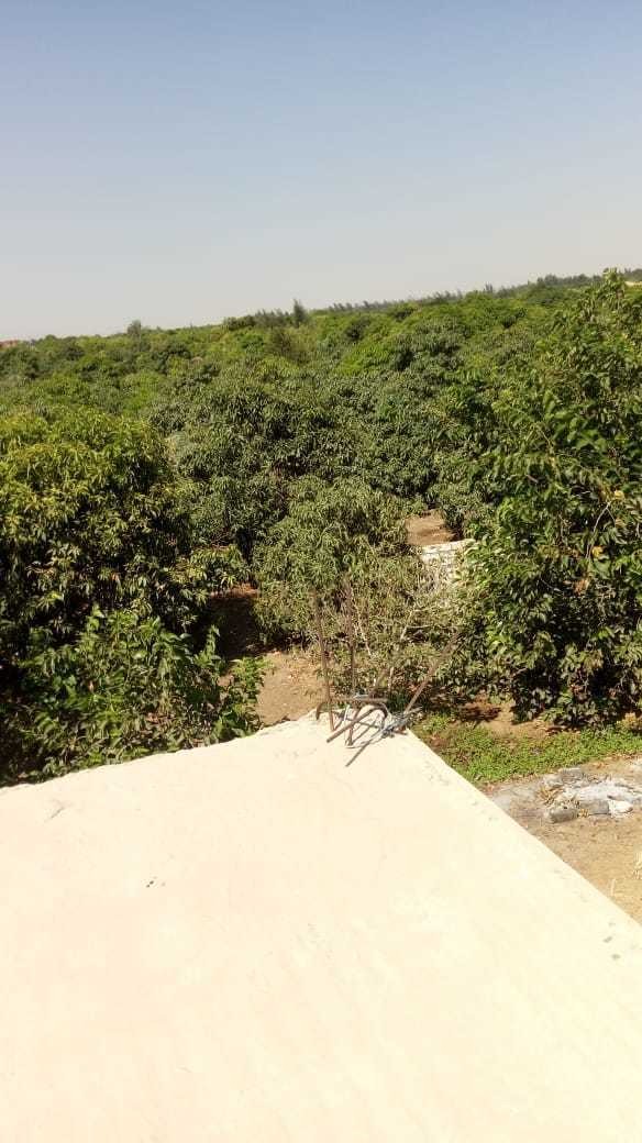 ebf653b3-e07e-493f-8a13-97d43f9056ed