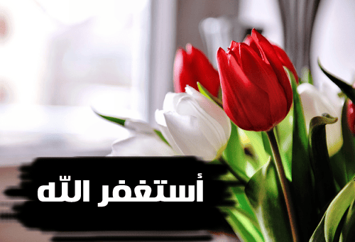large__2__copy.pngنننننننن