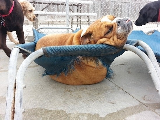 عندما يريد المرء لحظة استرخاء لكن ...