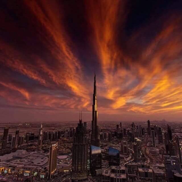 13413561_1321458171205278_4510662155784649640_n