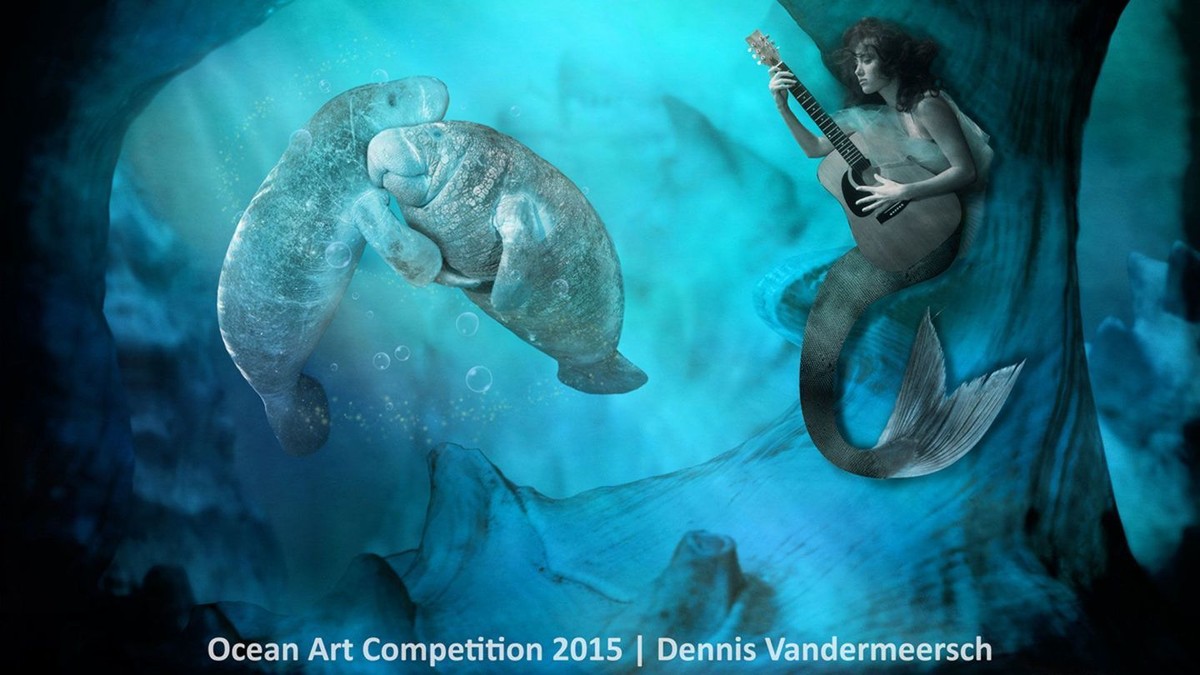 http---mashable.com-wp-content-gallery-underwater-marine-photography-14