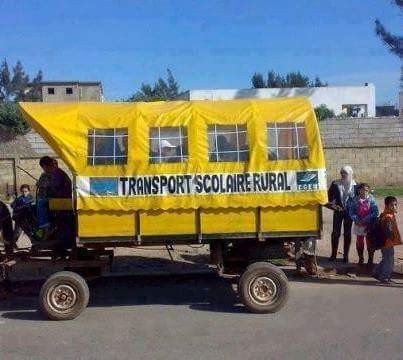 نعم نقل مدرسي في باديه