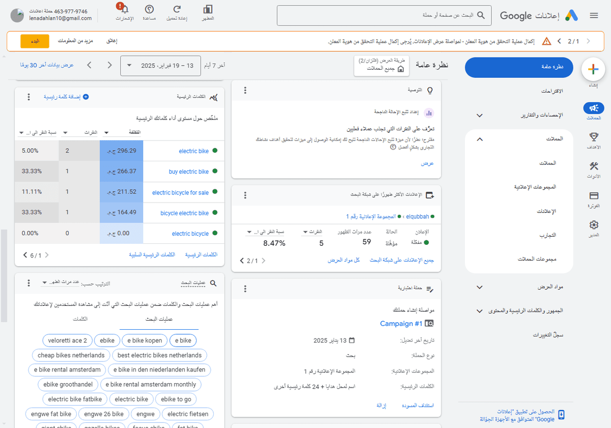 نظرة-عامة-حملة-اعلانات-_Google-إعلانات-02-20-2025_03_14_PM
