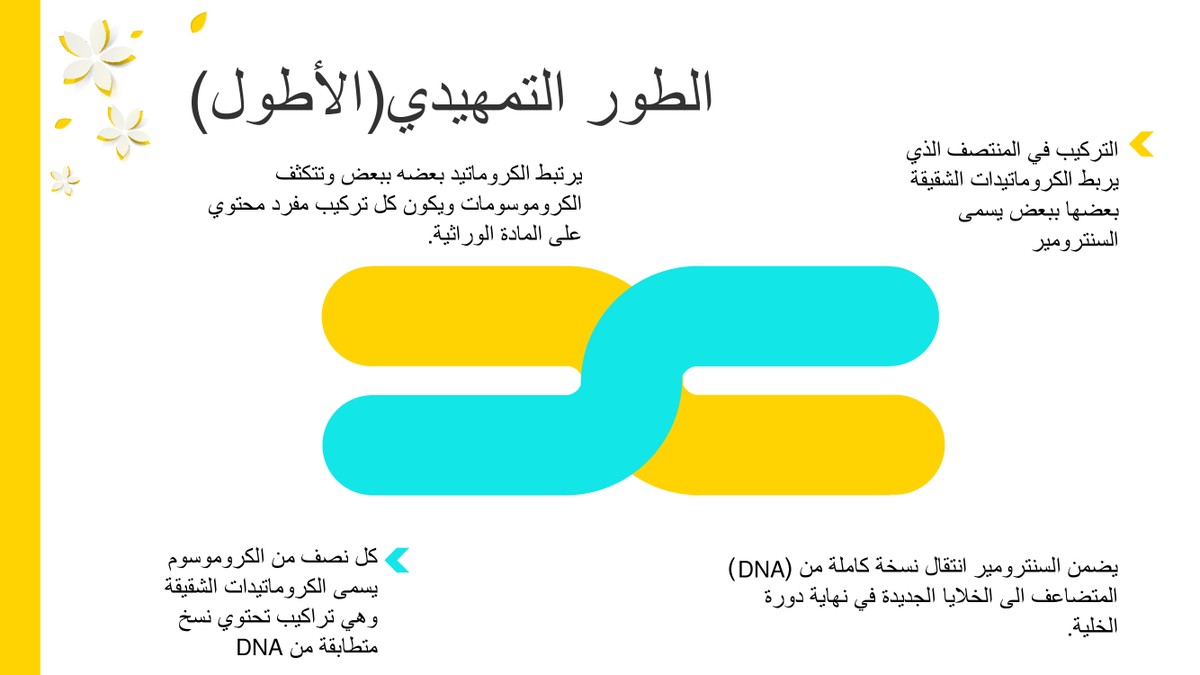 2c35ee775c1be0f5abbaa40beb9a6ef6-5