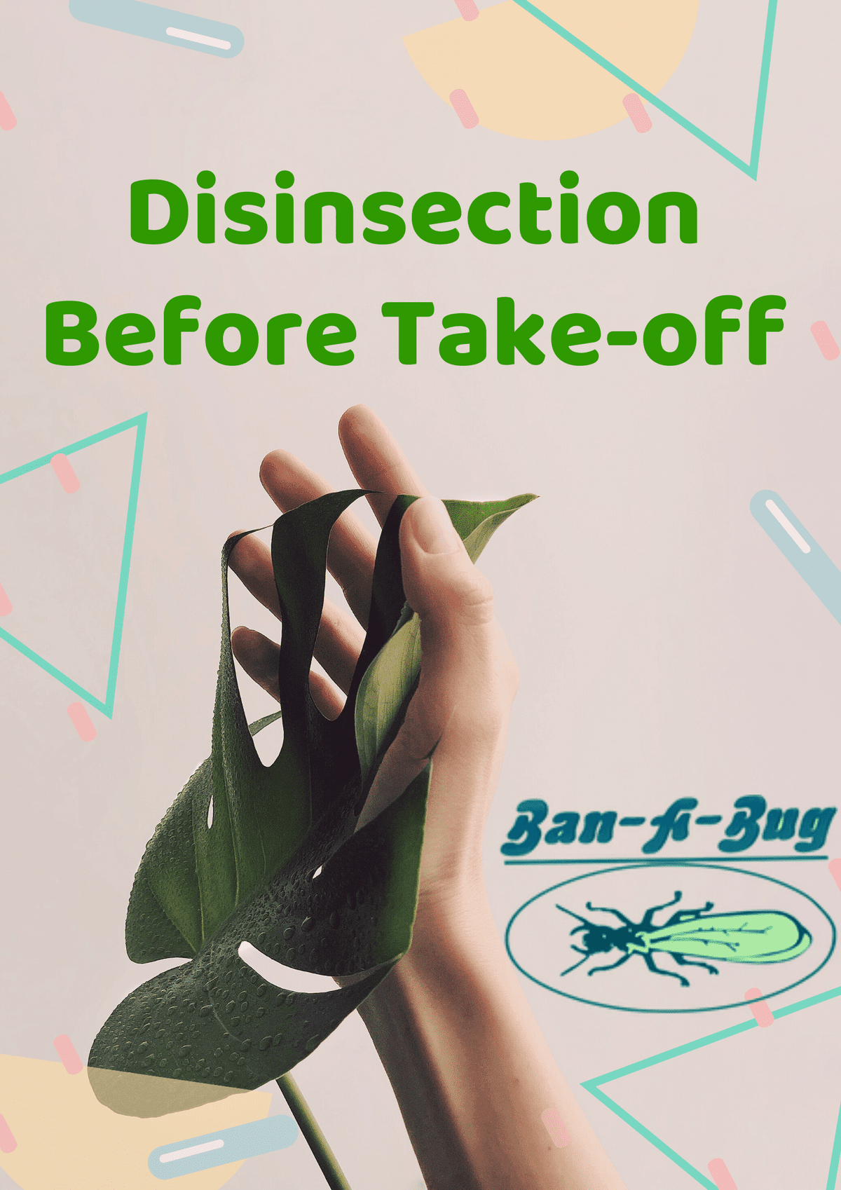 Disinsection_Before_Take-off