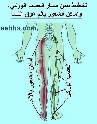 النسا الرياض 0557044912 l