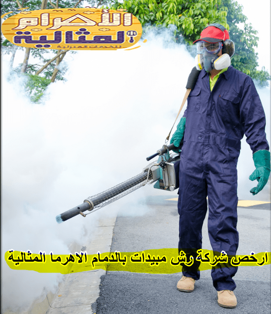 ط§ط¶ط؛ط· ط¹ظ„ظ‰ ط§ظ„طµظˆط±ط© ظ„ط±ط¤ظٹطھظ‡ط§ ط¨ط§ظ„طط¬ظ… ط§ظ„ط·ط¨ظٹط¹ظٹ