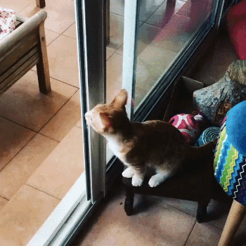 20160527-30435-1hz0xtf