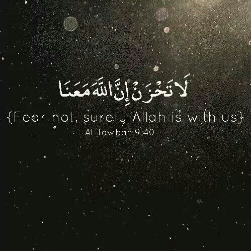 1504074_583880841725238_2523288401273173431_n