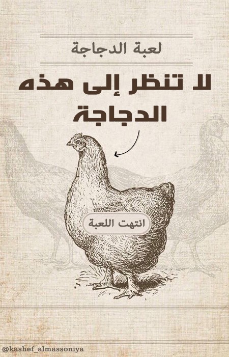 لعبة_الدجاجة