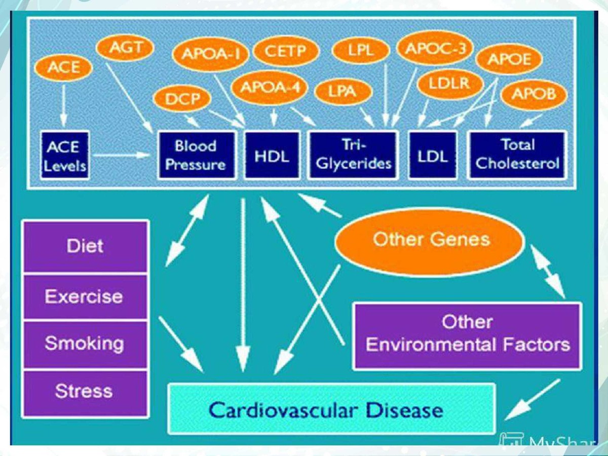 Genetic_epidemiology_2-09