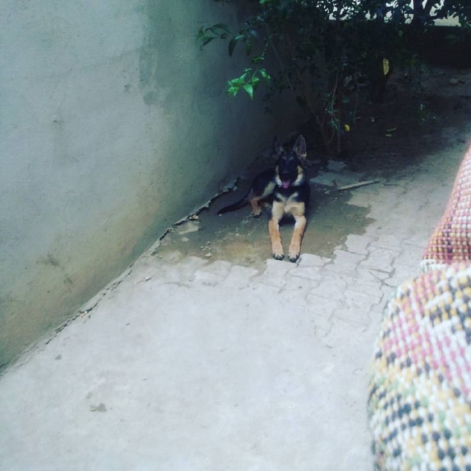 19260369_10211913392461771_8016923294359937901_n