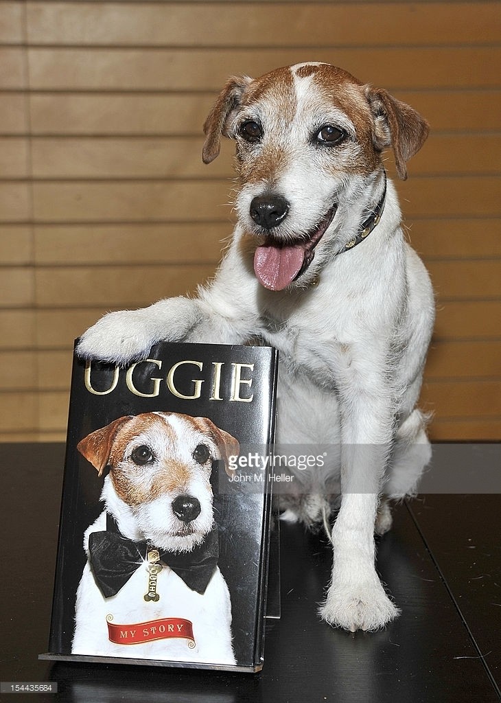 uggie-book