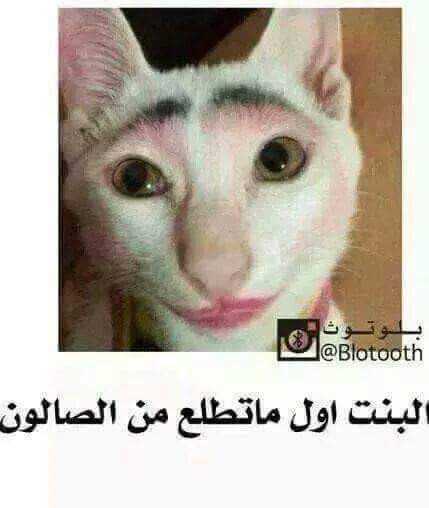 FB_IMG_1432200123622