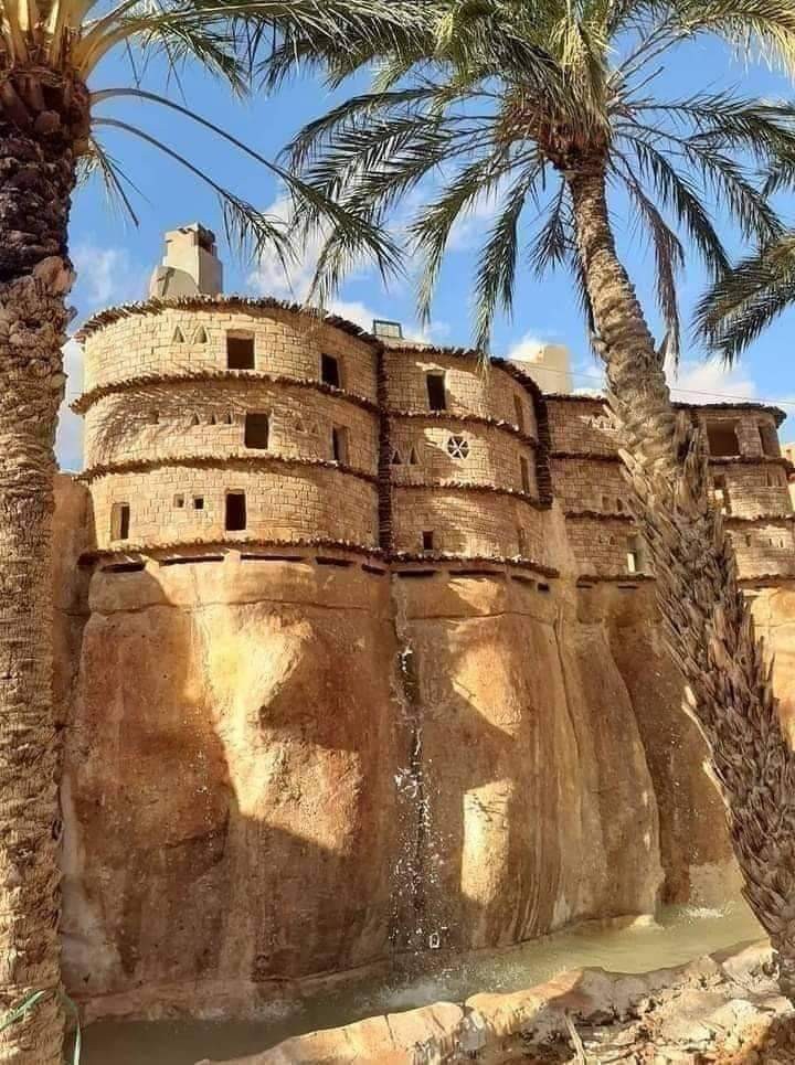 FB_IMG_1647866971622