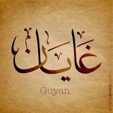 new_name_Guyan