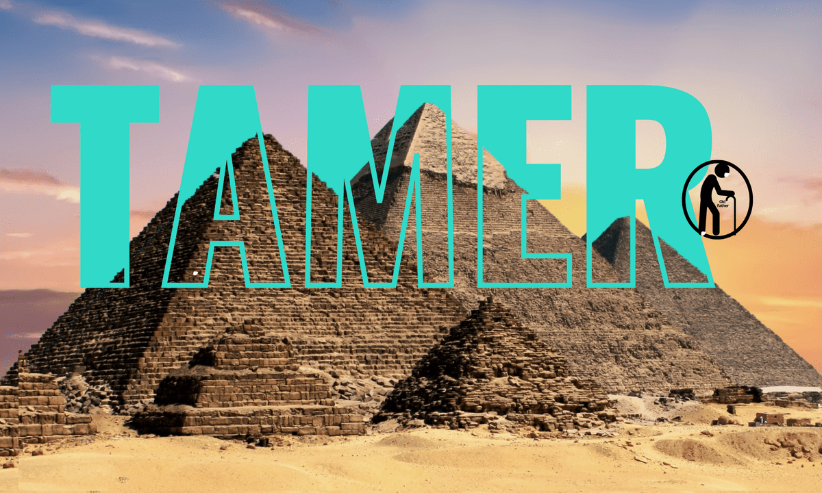 TAMER__2_