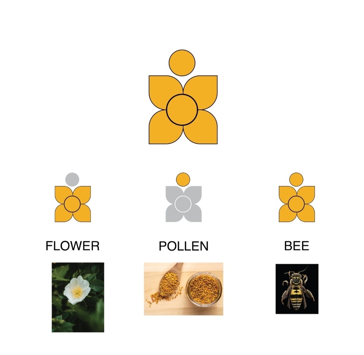 Screenshot_20250226_162528_com_hihonor_photos_SlotAlbumActivity_edit_989371581329664