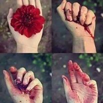 12993541_476127812582315_4567666628812287176_n