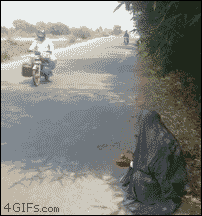 20160613-22004-13o4ut