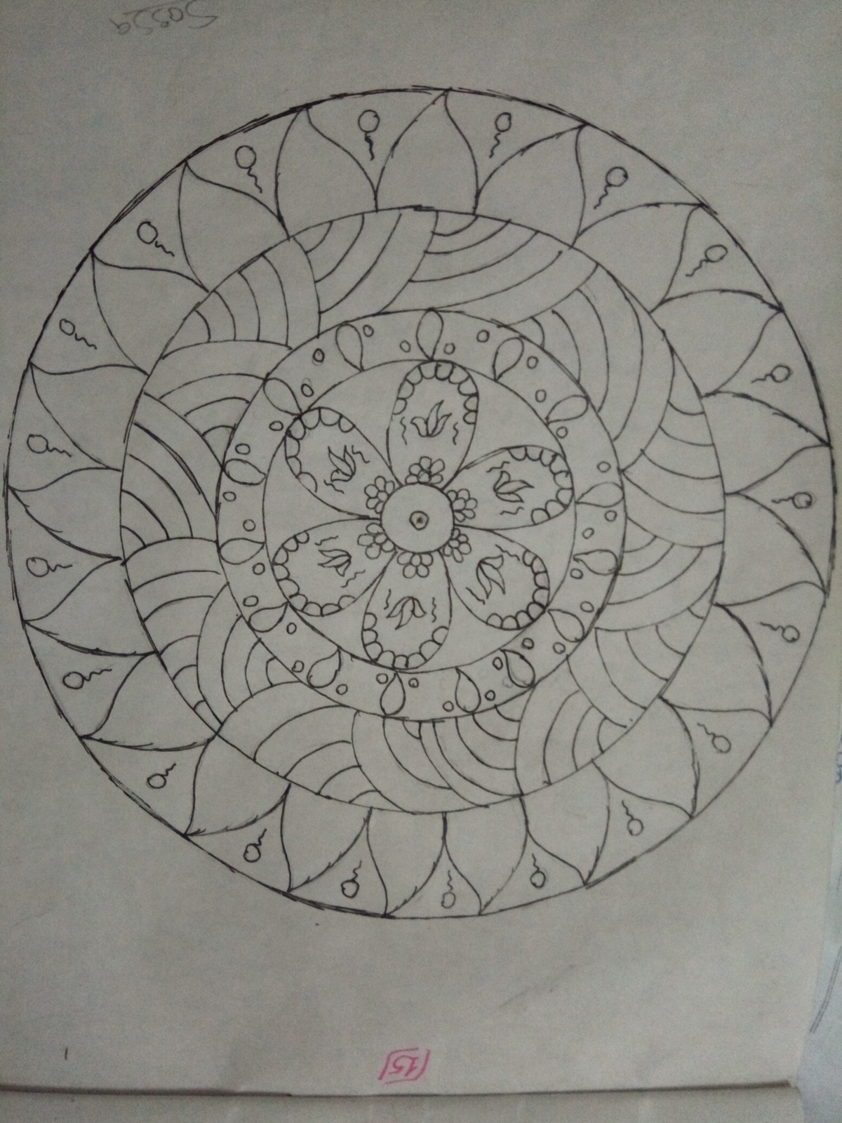 IMG_٢٠١٧٠١٢٢_١٥٤٩٤٣