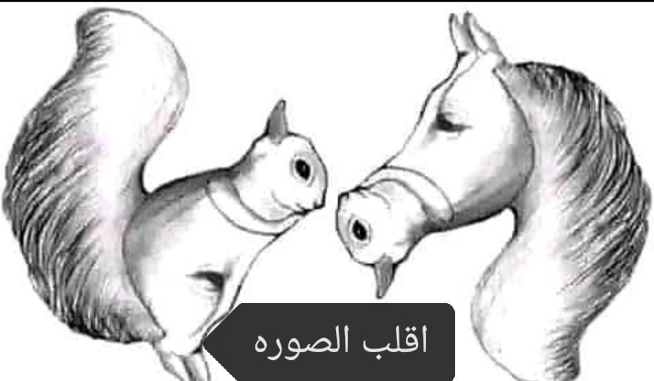 Screenshot_٢٠٢١٠٨٢٥_٠٣٥٣٥٣