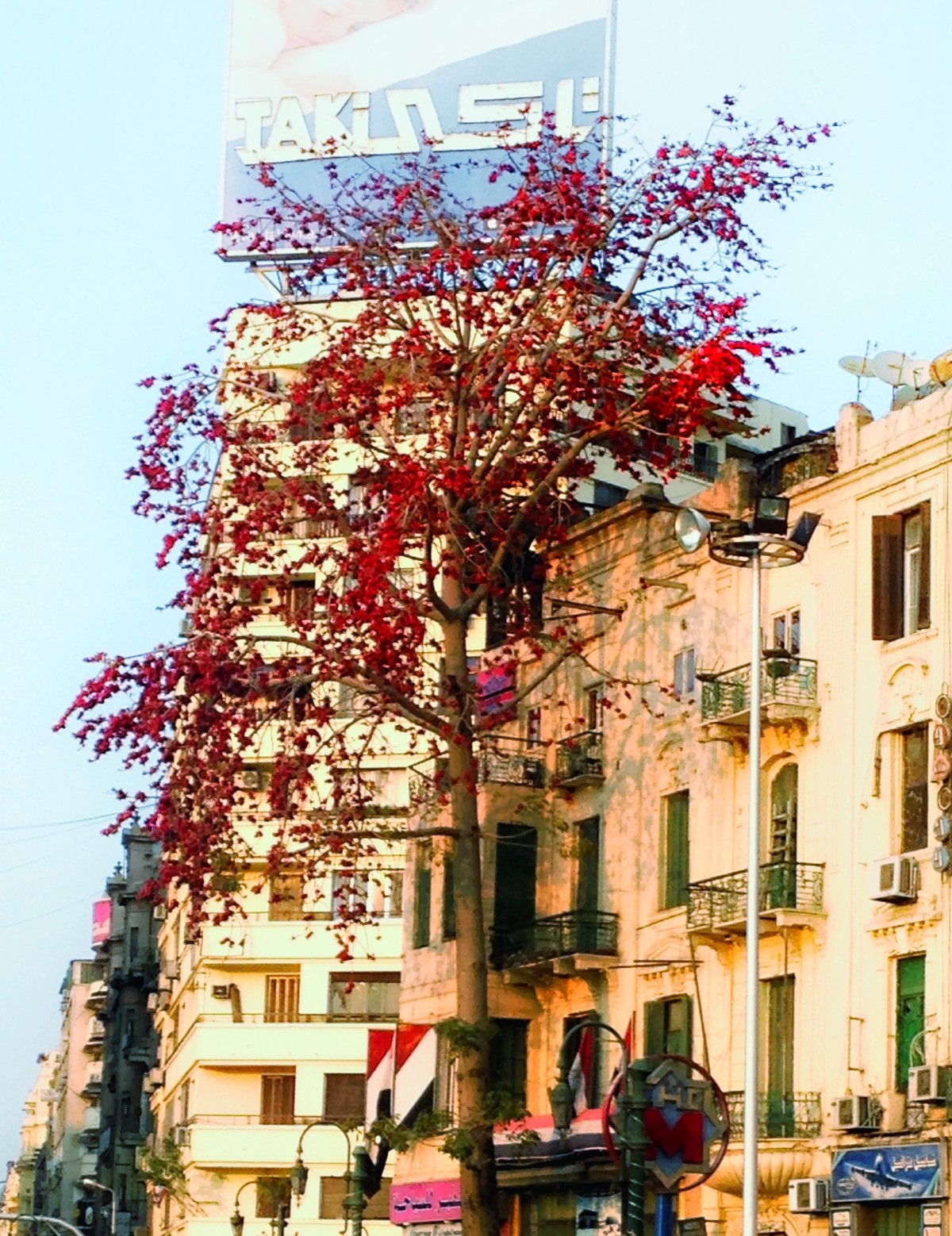 ميدان التحرير