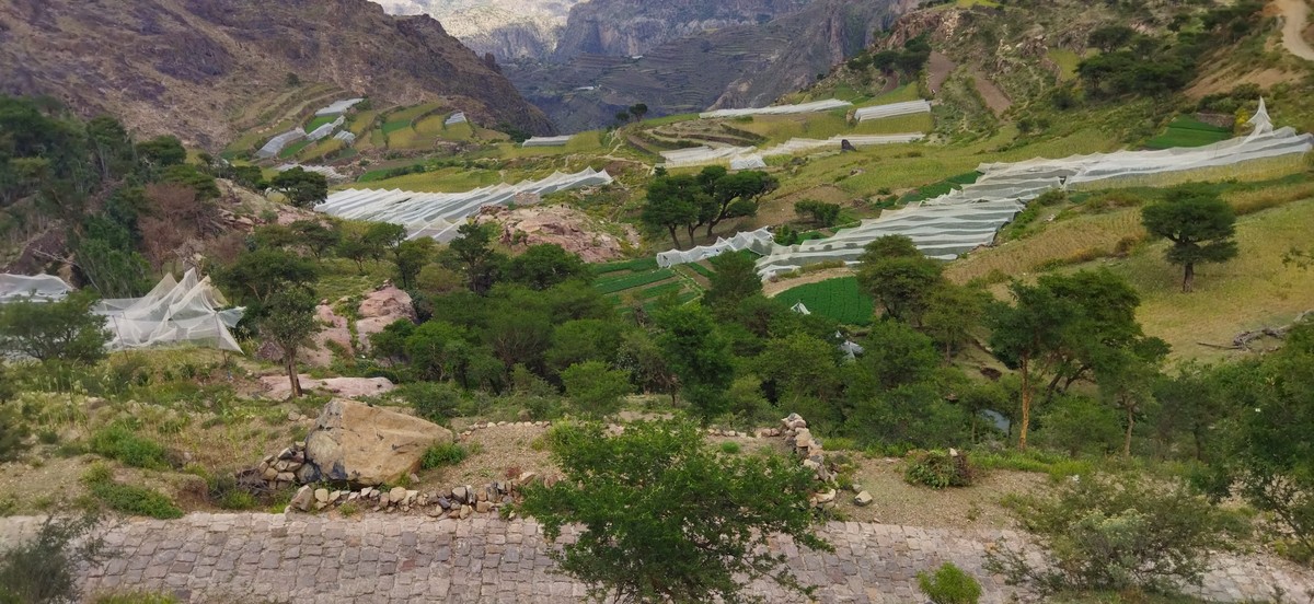 IMG_٢٠٢١١٠٠٩_١٢٥٢٢٢