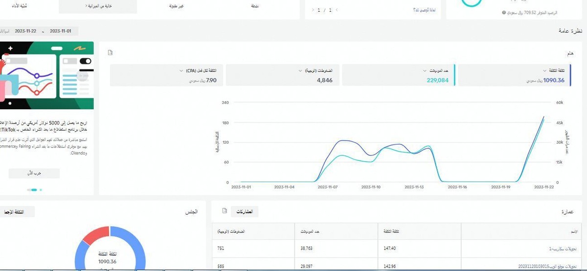 نتائج حملات تيك توك 