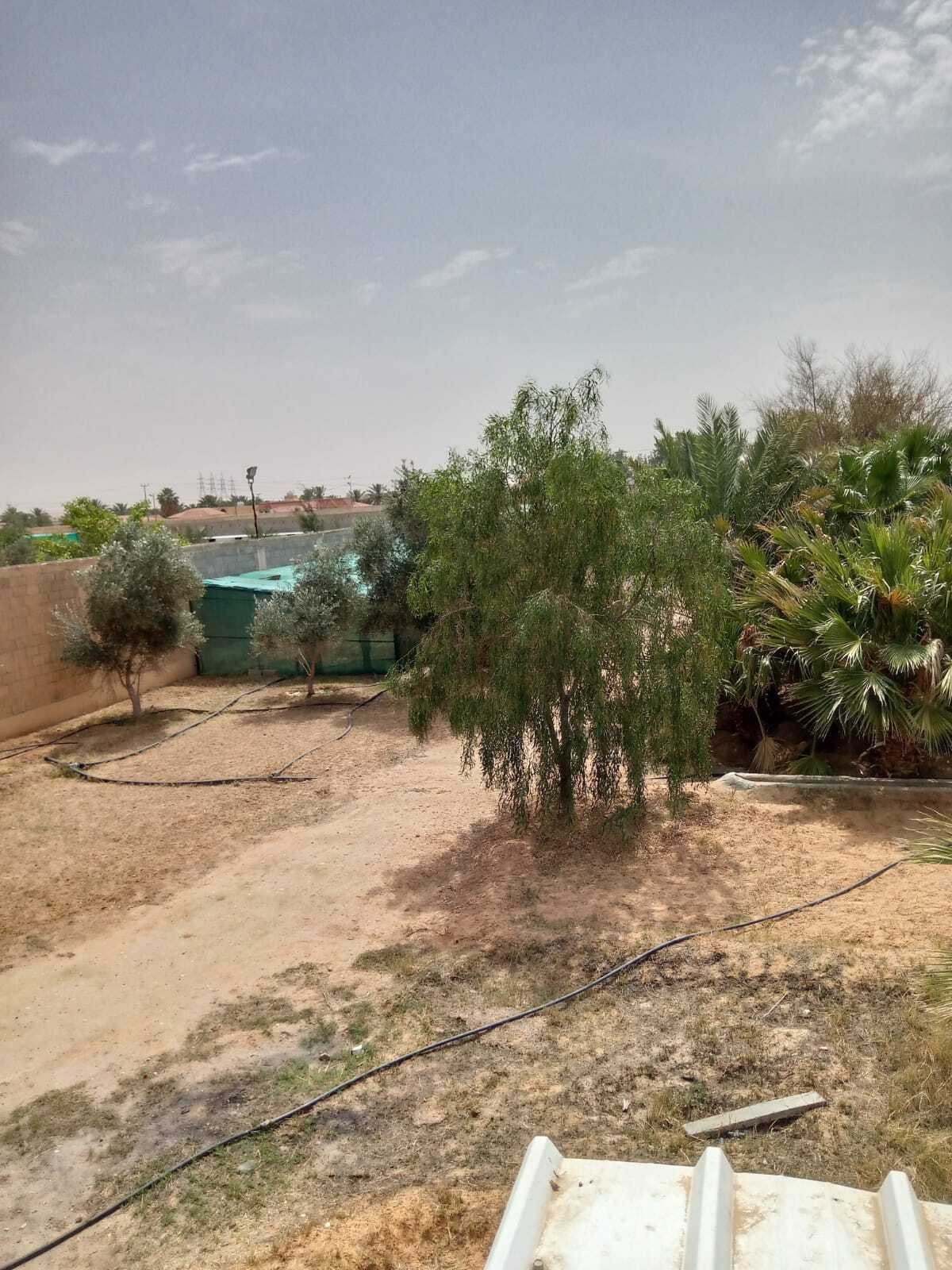 رقم المعلن9244591 -الترخيص  1200016748 ترخيص الإعلان 7200014961