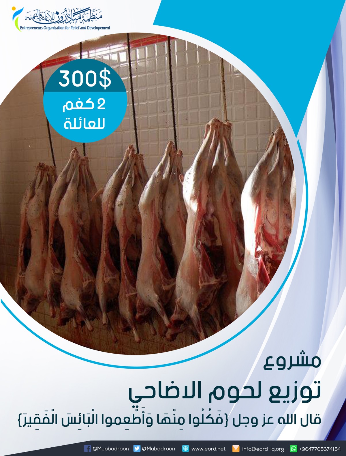 توزيع_لحوم_الاضاحي_copy