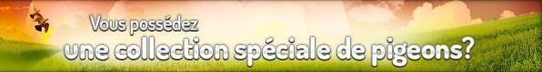 Banner_11111111