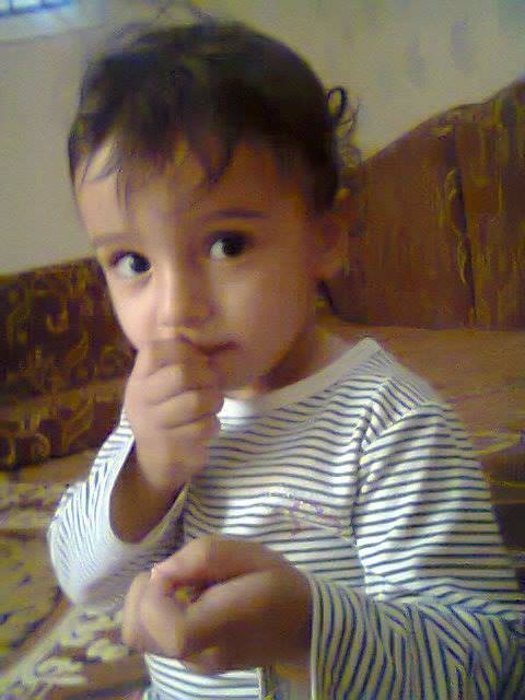 2772_1654163318166338_1922784113649749548_n